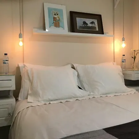The 